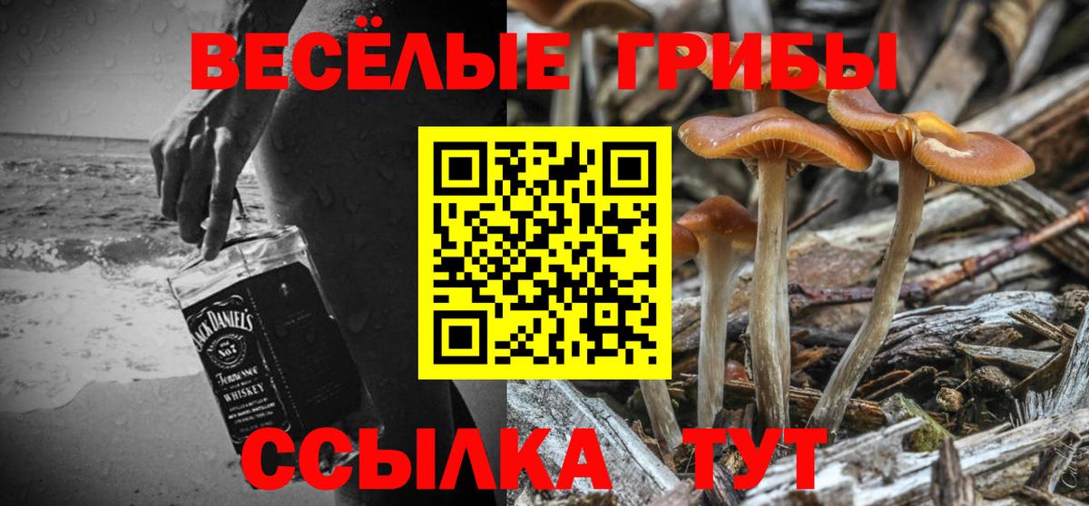 Псилоцибиновые грибы ЛСД Камышин